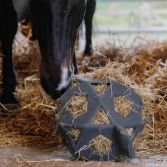 Treats & Toys - Stable & Toys - DocHorse