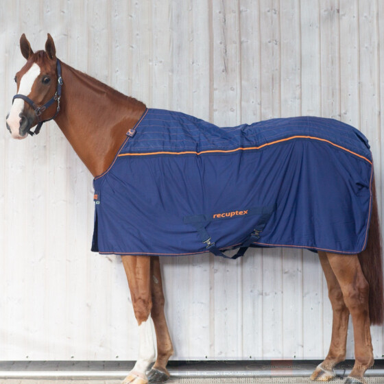 Bucas Recuptex Therapie Horseware Rambo Magnetfeld 2024