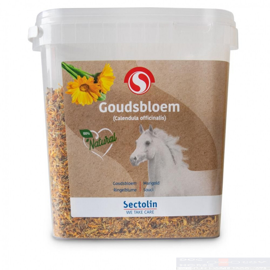 Sectolin Goudsbloem