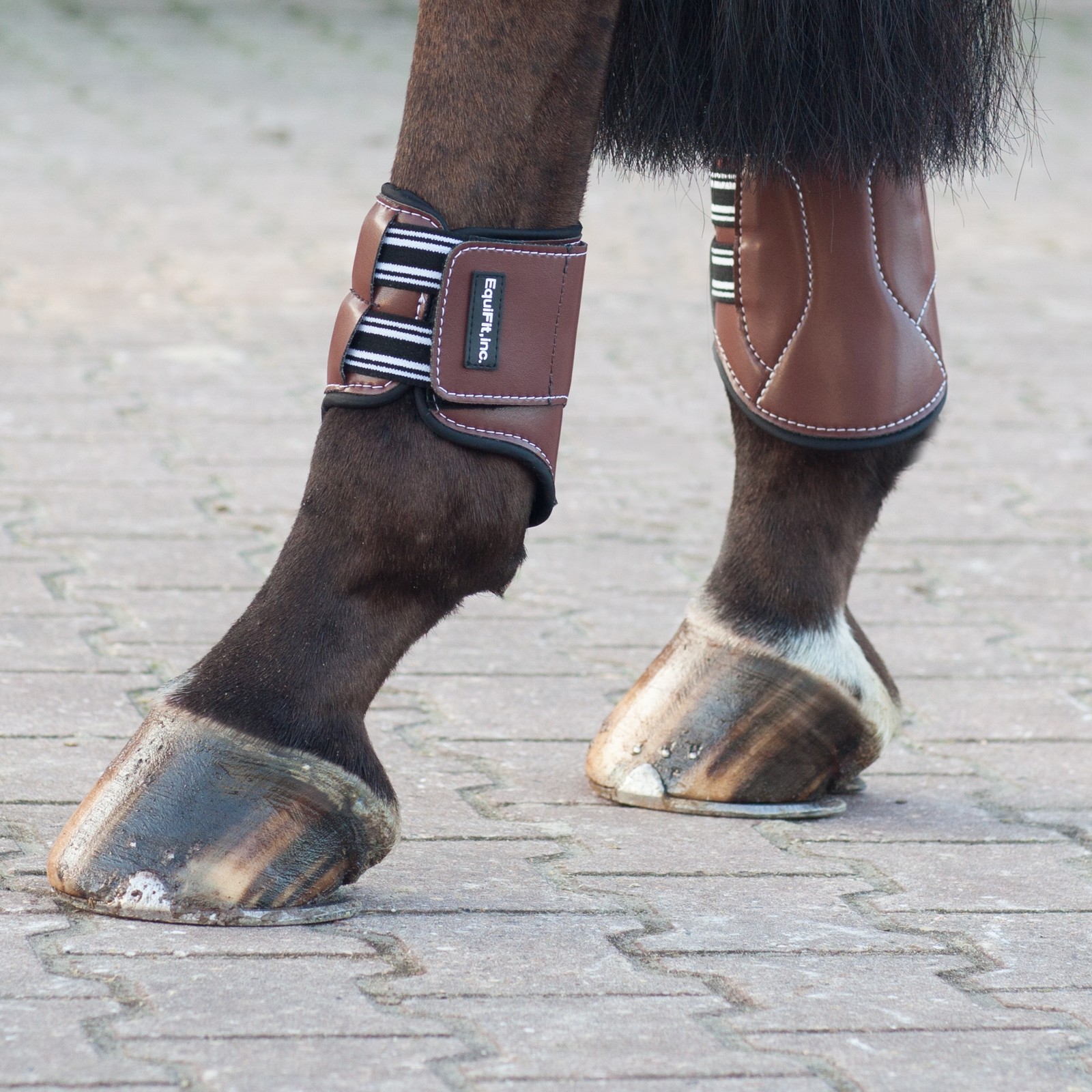 equifit horse boots