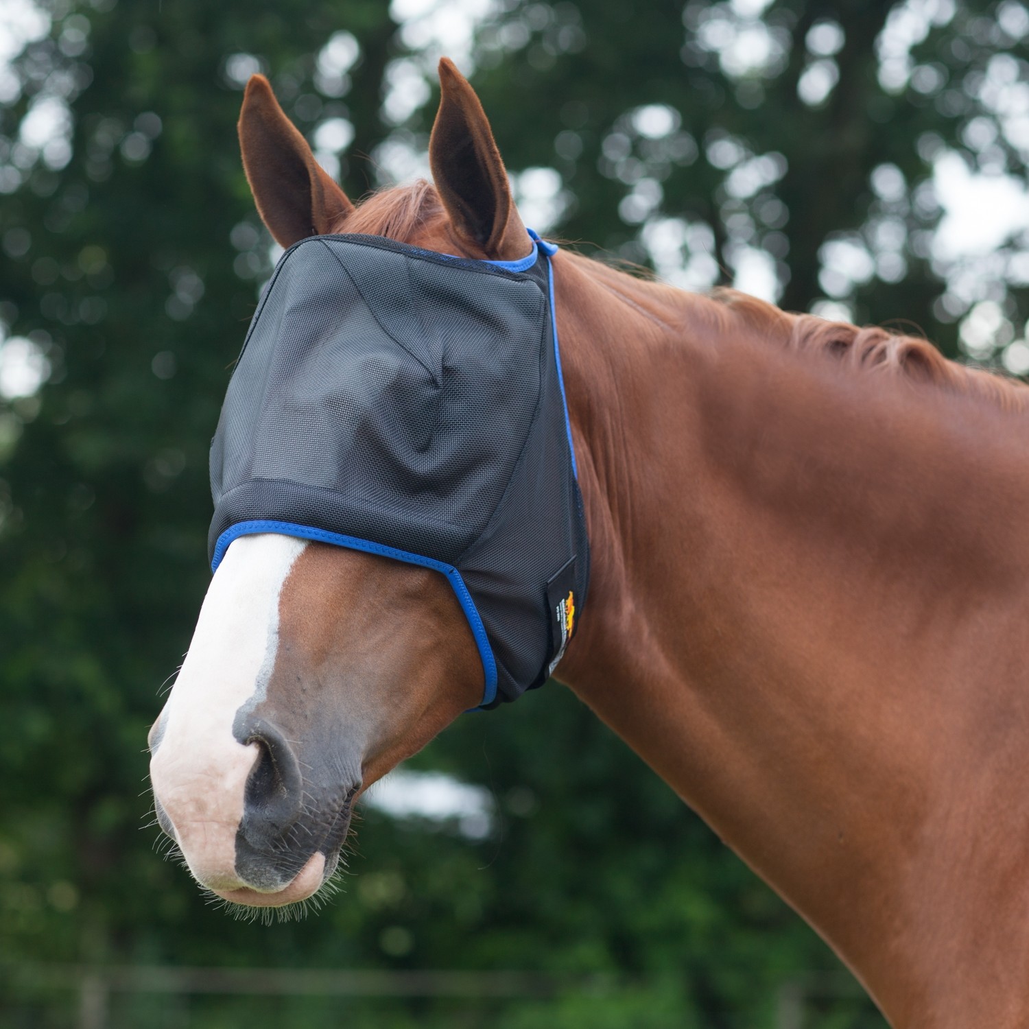 Fly Masks equilibrium Field Relief Midi Without Ears Fly Mask Medium ...