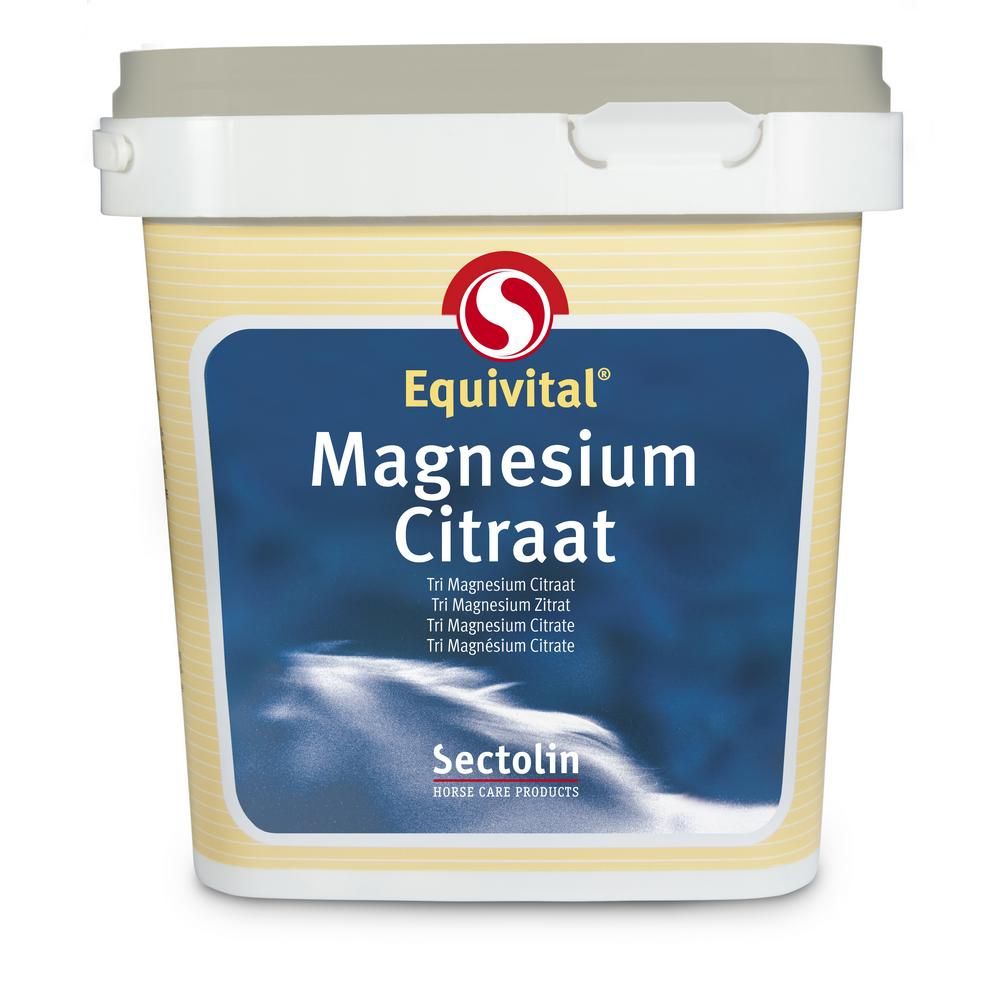 best form of magnesium for equine